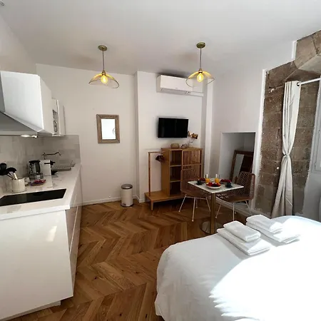 Le Petit Palais Notre Dame - Heart Of - With Ac Apartment