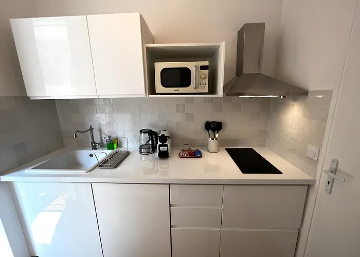 Апартаменты Le Petit Palais Notre Dame - Heart Of - With Ac Дижон