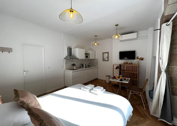 Apartamento Le Petit Palais Notre Dame - Heart Of - With Ac Dijon